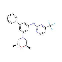 C[C@H]1CN(c2cc(Nc3nccc(C(F)(F)F)n3)cc(-c3ccccc3)c2)C[C@@H](C)O1 ZINC001772625749