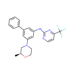 C[C@H]1CN(c2cc(Nc3nccc(C(F)(F)F)n3)cc(-c3ccccc3)c2)CCO1 ZINC001772571305