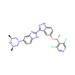 C[C@H]1CN(c2ccc3[nH]c(-c4n[nH]c5ccc(O[C@H](C)c6c(Cl)cncc6Cl)cc45)nc3c2)C[C@@H](C)N1 ZINC000653825388