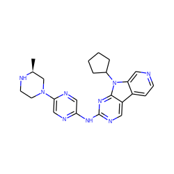 C[C@H]1CN(c2cnc(Nc3ncc4c5ccncc5n(C5CCCC5)c4n3)cn2)CCN1 ZINC000169706660