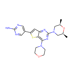 C[C@H]1CN(c2nc(N3CCOCC3)c3sc(-c4cnc(N)nc4)cc3n2)C[C@@H](C)O1 ZINC001772656377