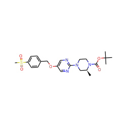 C[C@H]1CN(c2ncc(OCc3ccc(S(C)(=O)=O)cc3)cn2)CCN1C(=O)OC(C)(C)C ZINC000084741685