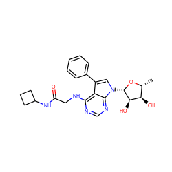 C[C@H]1O[C@@H](n2cc(-c3ccccc3)c3c(NCC(=O)NC4CCC4)ncnc32)[C@H](O)[C@@H]1O ZINC000013676881