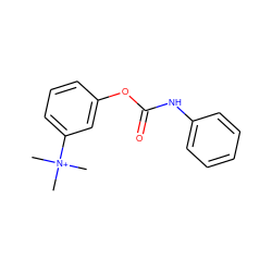 C[N+](C)(C)c1cccc(OC(=O)Nc2ccccc2)c1 ZINC000005764684