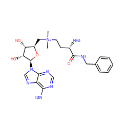 C[N+](C)(CC[C@H](N)C(=O)NCc1ccccc1)C[C@H]1O[C@@H](n2cnc3c(N)ncnc32)[C@H](O)[C@@H]1O ZINC000073196767