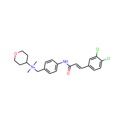 C[N+](C)(Cc1ccc(NC(=O)/C=C/c2ccc(Cl)c(Cl)c2)cc1)C1CCOCC1 ZINC000034804381