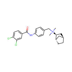 C[N+](C)(Cc1ccc(NC(=O)c2ccc(Cl)c(Cl)c2)cc1)[C@H]1C[C@H]2CC[C@H]1C2 ZINC000253660923