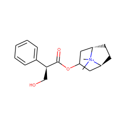 C[N+]1(C)[C@H]2CC[C@H]1CC(OC(=O)[C@@H](CO)c1ccccc1)C2 ZINC000100073430