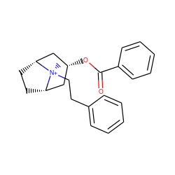 C[N@+]1(CCc2ccccc2)[C@H]2CC[C@@H]1C[C@H](OC(=O)c1ccccc1)C2 ZINC000254136511