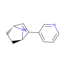 C1=C(c2cccnc2)[C@H]2CC[C@H]1N2 ZINC000102924723