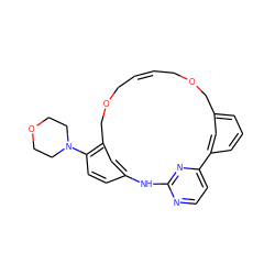 C1=CCOCc2cc(ccc2N2CCOCC2)Nc2nccc(n2)-c2cccc(c2)COC1 ZINC000253994652