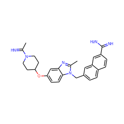 CC(=N)N1CCC(Oc2ccc3c(c2)nc(C)n3Cc2ccc3ccc(C(=N)N)cc3c2)CC1 ZINC000028093910