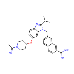 CC(=N)N1CCC(Oc2ccc3nc(C(C)C)n(Cc4ccc5ccc(C(=N)N)cc5c4)c3c2)CC1 ZINC000028087207