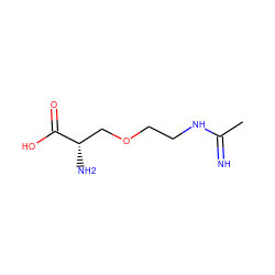 CC(=N)NCCOC[C@H](N)C(=O)O ZINC000027655168