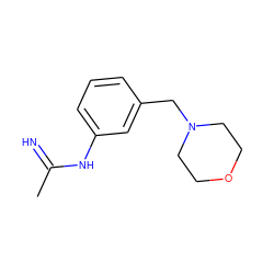 CC(=N)Nc1cccc(CN2CCOCC2)c1 ZINC000013780429