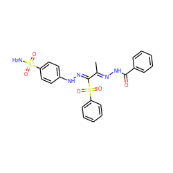 CC(=N\NC(=O)c1ccccc1)/C(=N/Nc1ccc(S(N)(=O)=O)cc1)S(=O)(=O)c1ccccc1 ZINC000103230485