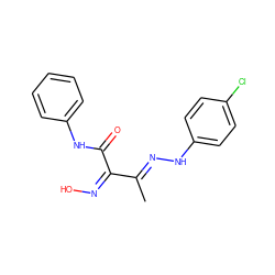 CC(=N\Nc1ccc(Cl)cc1)/C(=N/O)C(=O)Nc1ccccc1 ZINC000095921813