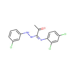 CC(=O)/C(=N\c1ccc(Cl)cc1Cl)NNc1cccc(Cl)c1 ZINC000015985871