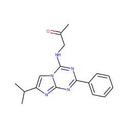 CC(=O)CNc1nc(-c2ccccc2)nc2nc(C(C)C)cn12 ZINC000013492008