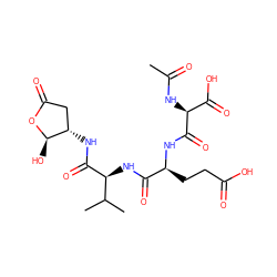 CC(=O)N[C@@H](C(=O)O)C(=O)N[C@@H](CCC(=O)O)C(=O)N[C@H](C(=O)N[C@H]1CC(=O)O[C@@H]1O)C(C)C ZINC000026749163