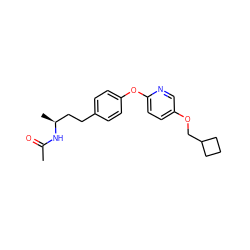 CC(=O)N[C@@H](C)CCc1ccc(Oc2ccc(OCC3CCC3)cn2)cc1 ZINC000096167481