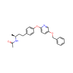 CC(=O)N[C@@H](C)CCc1ccc(Oc2ccc(OCc3ccccc3)cn2)cc1 ZINC000066258435