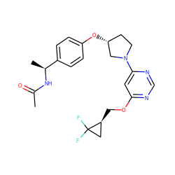 CC(=O)N[C@@H](C)c1ccc(O[C@@H]2CCN(c3cc(OC[C@H]4CC4(F)F)ncn3)C2)cc1 ZINC000261112073