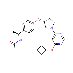 CC(=O)N[C@@H](C)c1ccc(O[C@@H]2CCN(c3cc(OC4CCC4)ncn3)C2)cc1 ZINC000261163895