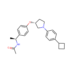 CC(=O)N[C@@H](C)c1ccc(O[C@@H]2CCN(c3ccc(C4CCC4)cc3)C2)cc1 ZINC001772629763