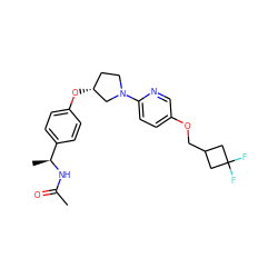 CC(=O)N[C@@H](C)c1ccc(O[C@@H]2CCN(c3ccc(OCC4CC(F)(F)C4)cn3)C2)cc1 ZINC000169709359