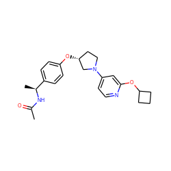 CC(=O)N[C@@H](C)c1ccc(O[C@@H]2CCN(c3ccnc(OC4CCC4)c3)C2)cc1 ZINC000169709762