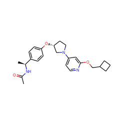 CC(=O)N[C@@H](C)c1ccc(O[C@@H]2CCN(c3ccnc(OCC4CCC4)c3)C2)cc1 ZINC000169709778