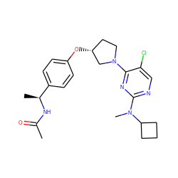 CC(=O)N[C@@H](C)c1ccc(O[C@@H]2CCN(c3nc(N(C)C4CCC4)ncc3Cl)C2)cc1 ZINC000261126402