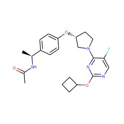 CC(=O)N[C@@H](C)c1ccc(O[C@@H]2CCN(c3nc(OC4CCC4)ncc3F)C2)cc1 ZINC000261175282