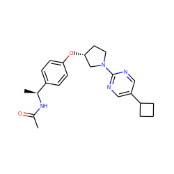 CC(=O)N[C@@H](C)c1ccc(O[C@@H]2CCN(c3ncc(C4CCC4)cn3)C2)cc1 ZINC000261192334