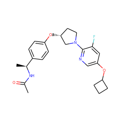 CC(=O)N[C@@H](C)c1ccc(O[C@@H]2CCN(c3ncc(OC4CCC4)cc3F)C2)cc1 ZINC000169709186