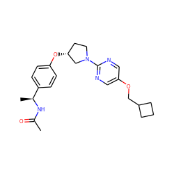 CC(=O)N[C@@H](C)c1ccc(O[C@@H]2CCN(c3ncc(OCC4CCC4)cn3)C2)cc1 ZINC000261145021