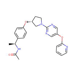 CC(=O)N[C@@H](C)c1ccc(O[C@@H]2CCN(c3ncc(Oc4ccccn4)cn3)C2)cc1 ZINC000261187581