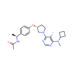 CC(=O)N[C@@H](C)c1ccc(O[C@@H]2CCN(c3ncnc(N(C)C4CCC4)c3F)C2)cc1 ZINC000261122562