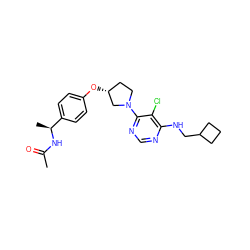 CC(=O)N[C@@H](C)c1ccc(O[C@@H]2CCN(c3ncnc(NCC4CCC4)c3Cl)C2)cc1 ZINC000261098272