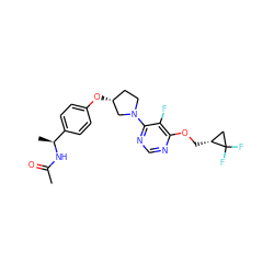 CC(=O)N[C@@H](C)c1ccc(O[C@@H]2CCN(c3ncnc(OC[C@@H]4CC4(F)F)c3F)C2)cc1 ZINC000261182714