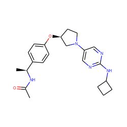 CC(=O)N[C@@H](C)c1ccc(O[C@H]2CCN(c3cnc(NC4CCC4)nc3)C2)cc1 ZINC000261163933