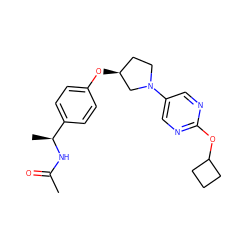 CC(=O)N[C@@H](C)c1ccc(O[C@H]2CCN(c3cnc(OC4CCC4)nc3)C2)cc1 ZINC000261156446