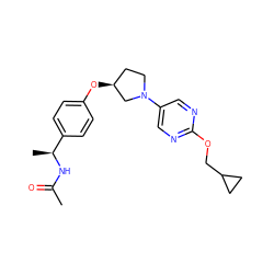 CC(=O)N[C@@H](C)c1ccc(O[C@H]2CCN(c3cnc(OCC4CC4)nc3)C2)cc1 ZINC000261118299