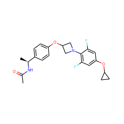 CC(=O)N[C@@H](C)c1ccc(OC2CN(c3c(F)cc(OC4CC4)cc3F)C2)cc1 ZINC000142310911