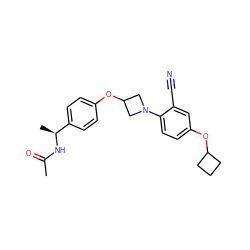 CC(=O)N[C@@H](C)c1ccc(OC2CN(c3ccc(OC4CCC4)cc3C#N)C2)cc1 ZINC000142180321