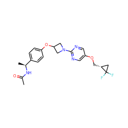 CC(=O)N[C@@H](C)c1ccc(OC2CN(c3ncc(OC[C@@H]4CC4(F)F)cn3)C2)cc1 ZINC000142232743