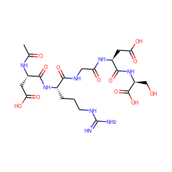 CC(=O)N[C@@H](CC(=O)O)C(=O)N[C@@H](CCCNC(=N)N)C(=O)NCC(=O)N[C@@H](CC(=O)O)C(=O)N[C@@H](CO)C(=O)O ZINC000028890562