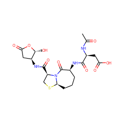 CC(=O)N[C@@H](CC(=O)O)C(=O)N[C@H]1CCC[C@H]2SC[C@@H](C(=O)N[C@H]3CC(=O)O[C@@H]3O)N2C1=O ZINC000026670533
