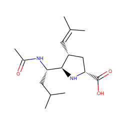 CC(=O)N[C@@H](CC(C)C)[C@@H]1N[C@@H](C(=O)O)C[C@H]1C=C(C)C ZINC000013645234